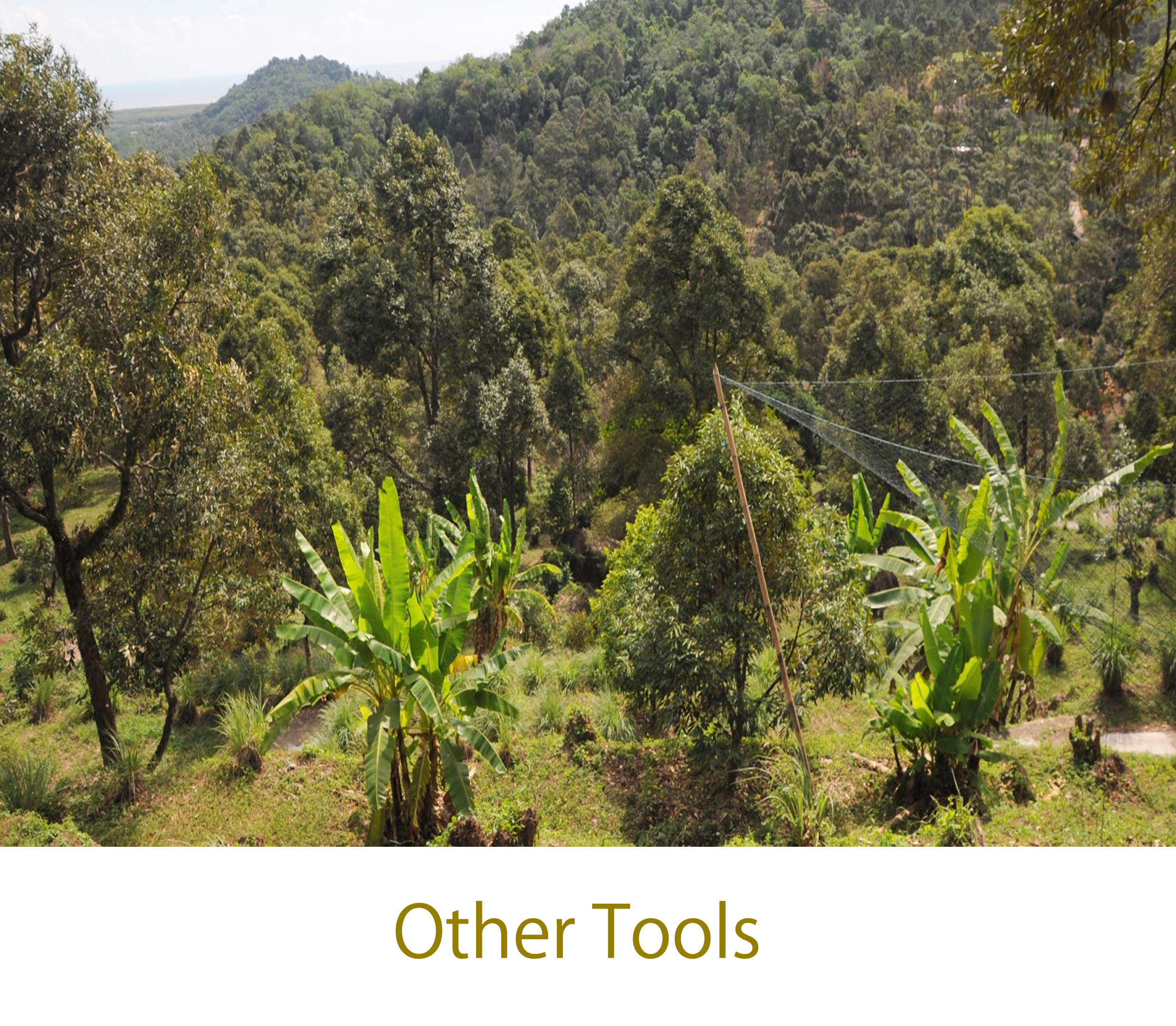 Other Farm Tools